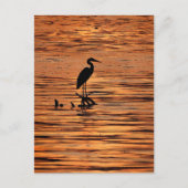 Heron bij Sunset Briefkaart (Voorkant)