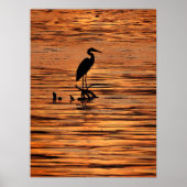 Heron bij Sunset Poster (Voorkant)