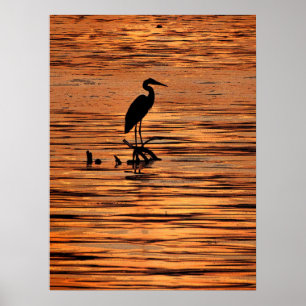 Heron bij Sunset Poster
