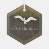 Heron Bird Flying Glass Ornament (Voorkant)