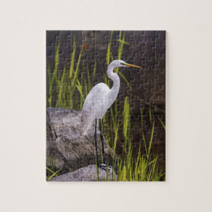 Heron Bird Natuur Rocks Legpuzzel
