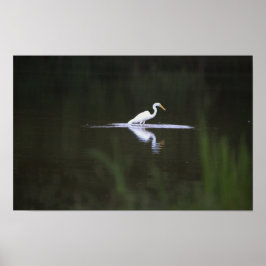 Heron Bird op Water Poster