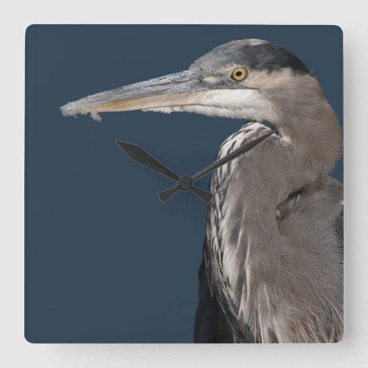 Heron Birds Wilde Levensdieren Vierkante Klok (Voorkant)