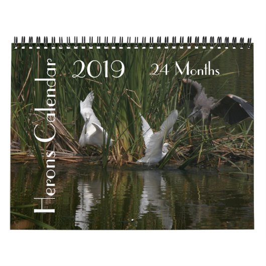 Heron Birds Wildlife Animals, kalender 2019 (Hoes)