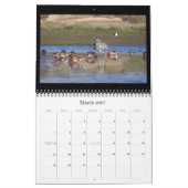 Heron Birds Wildlife Animals, kalender 2019 (Mar 2027)