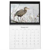 Heron Birds Wildlife Animals, kalender 2019 (Jan 2027)