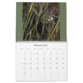 Heron Birds Wildlife Animals, kalender 2019 (Feb 2027)