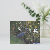 Heron Briefkaart (Staand voorkant)