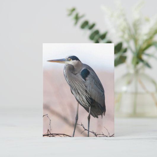 Heron Briefkaart (Staand voorkant)