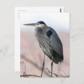 Heron Briefkaart (Voorkant / Achterkant)