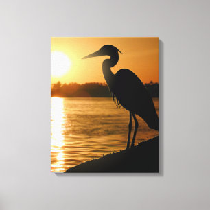 Heron Canvas Afdruk