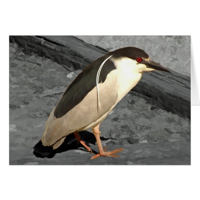 Heron - Card (Voorkant Horizontaal)