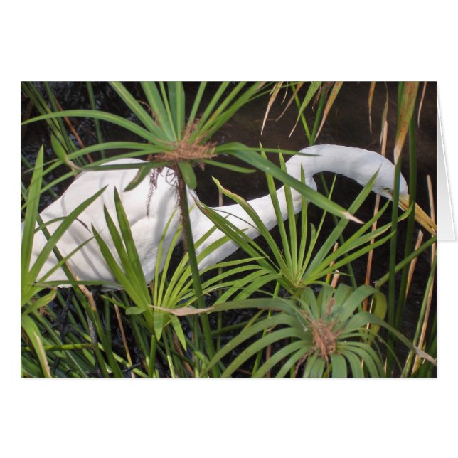 Heron Card (Voorkant Horizontaal)