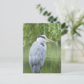 Heron close-up Briefkaart (Staand voorkant)