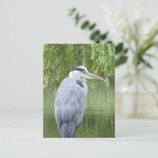Heron close-up Briefkaart (Staand voorkant)