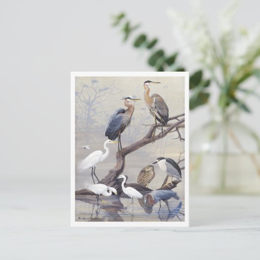 Heron en Egret Briefkaart (Staand voorkant)