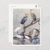 Heron en Egret  Briefkaart (Voorkant / Achterkant)