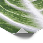Heron en Leaf Print, Waarde Poster Papier (Matte) (Hoek)