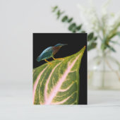 Heron en Leaf Print, Waarde Poster Papier (Matte) Feestdagenkaart (Staand voorkant)