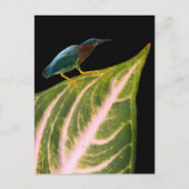 Heron en Leaf Print, Waarde Poster Papier (Matte) Feestdagenkaart (Voorkant)
