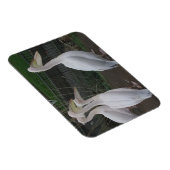 Heron Family 3"x4" Magnet Magneet (Rechterzijde)