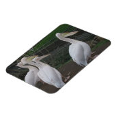 Heron Family 3"x4" Magnet Magneet (Linkerzijde)