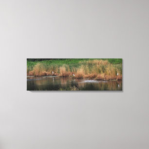 Heron Family - linkerkant Canvas Afdruk