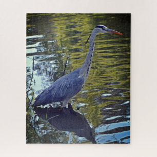 Heron Feeding in Pond at RHS Wisley, Verenigd Koni Legpuzzel