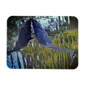 Heron Feeding in Pond at RHS Wisley, Verenigd Koni Magneet (Horizontaal)