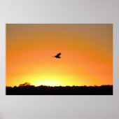 Heron Flying bij Sunset Photo Poster (Voorkant)