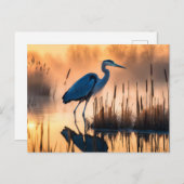 Heron in a Misty Marsh at Sunrise Briefkaart (Voorkant / Achterkant)
