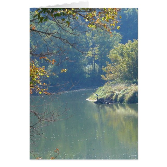Heron in de rivier (Voorkant)