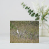 Heron in het gras Briefkaart (Staand voorkant)