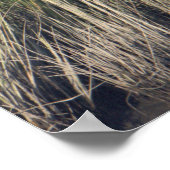 Heron in het gras Poster (Hoek)