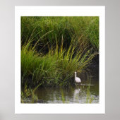Heron in het Marsh Poster (Voorkant)