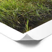 Heron in het Marsh Poster (Hoek)