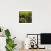 Heron in het Marsh Poster (Thuiskantoor)