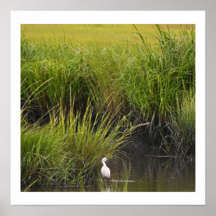 Heron in het Marsh Poster