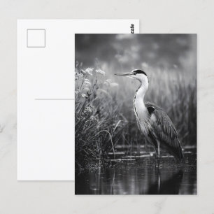 Heron in het moeras zwart-wit briefkaart