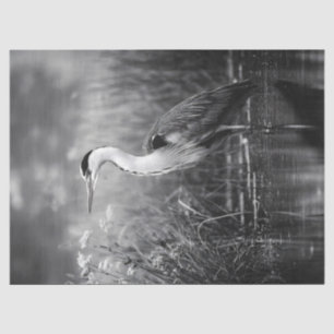Heron in het moeras zwart-wit decoupage tissuepapier