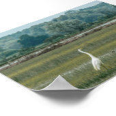 Heron in het Poster gras (Hoek)