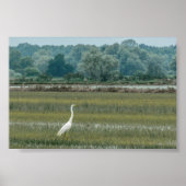 Heron in het Poster gras (Voorkant)