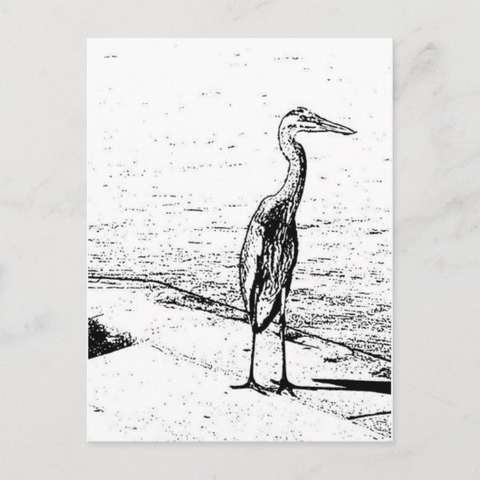 Heron In Ink Briefkaart (Voorkant)