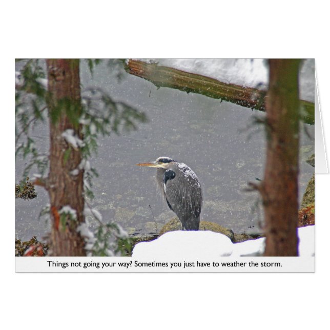 Heron in sneeuwfoto's (Voorkant Horizontaal)