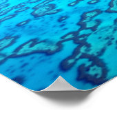 Heron Island Reef Poster (Hoek)