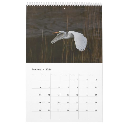 Heron Kalender 2025 (Jan 2026)