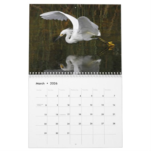 Heron Kalender 2025 (Mar 2026)