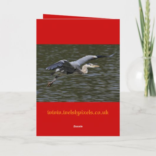 Heron kerstkaarten feestdagen kaart (Achterkant)