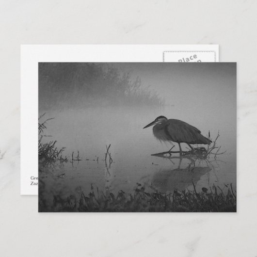 Heron Morning Briefkaart (Voorkant / Achterkant)