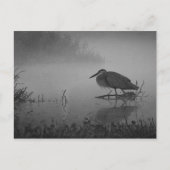 Heron Morning Briefkaart (Voorkant)